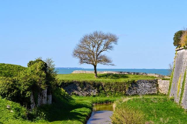 Découvrez les Secrets pour des Vacances Inoubliables et Économiques sur l’Île d’Oléron
