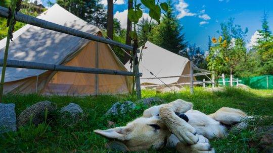 Top des Campings Abordables pour un Séjour Mémorable en Vendée