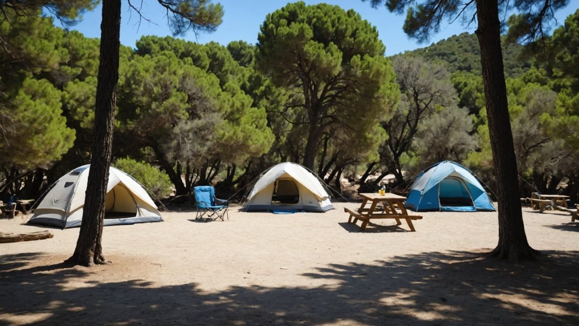 Top 5 des campings recommandés au lavandou